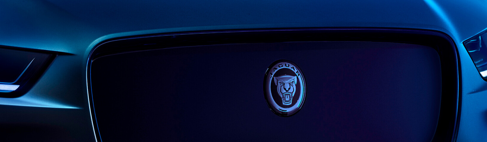 Nahaufnahme Front Blauer Jaguar