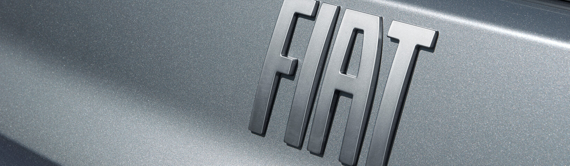 Logo su Fiat grigio