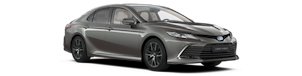 Toyota Camry marrone dall'esterno