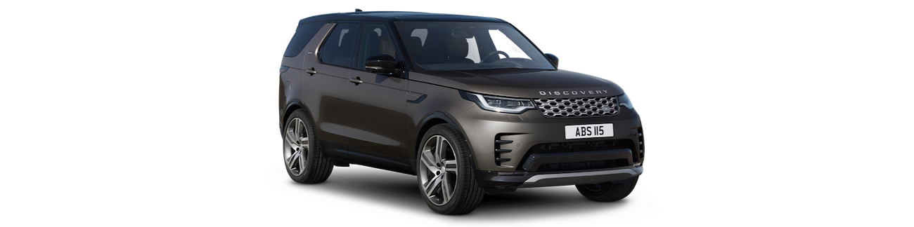 Brauner Land Rover Discovery