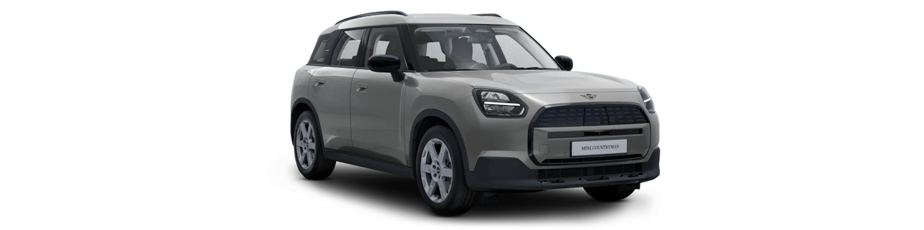 Grüner Mini Countryman von aussen