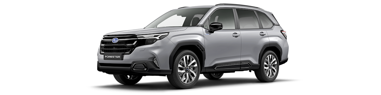 Grauer Subaru Forester von aussen